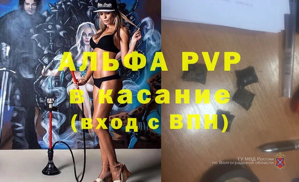 трава Чита