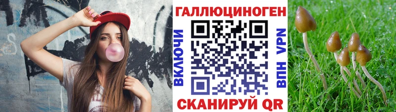 Галлюциногенные грибы Psilocybe  Ликино-Дулёво 